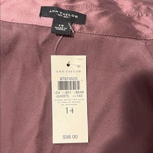 Ann Taylor Mauve Blouse